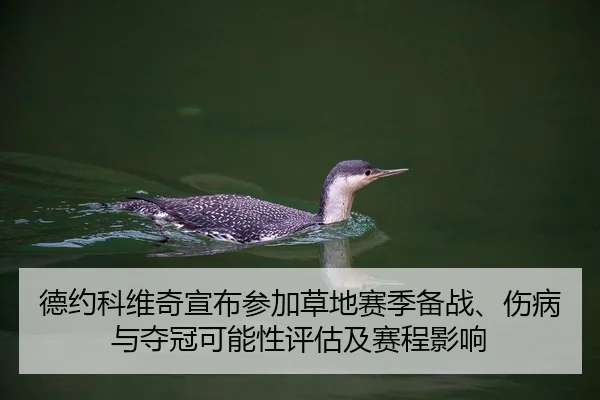 de-yue-ke-wei-qi-xuan-bu-can-jia-cao-di-sai-ji-bei-zhan-shang-bing-yu-duo-guan-ke-neng-xing-ping-gu-ji-sai-cheng-ying-2-879.jpg
